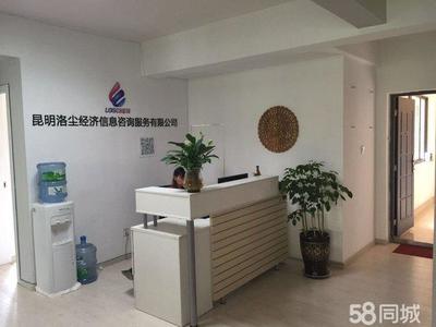 洛塵經濟信息咨詢 專業賦能，智啟未來——信息咨詢服務新起點